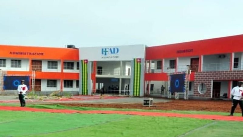 Togo/économie : Les IFAD accompagnent financièrement les apprenants diplômés