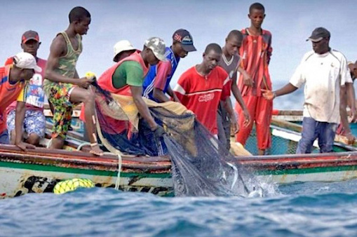 Togo/Société : Suspension de la pêche sur le Lac Nangbéto, les raisons