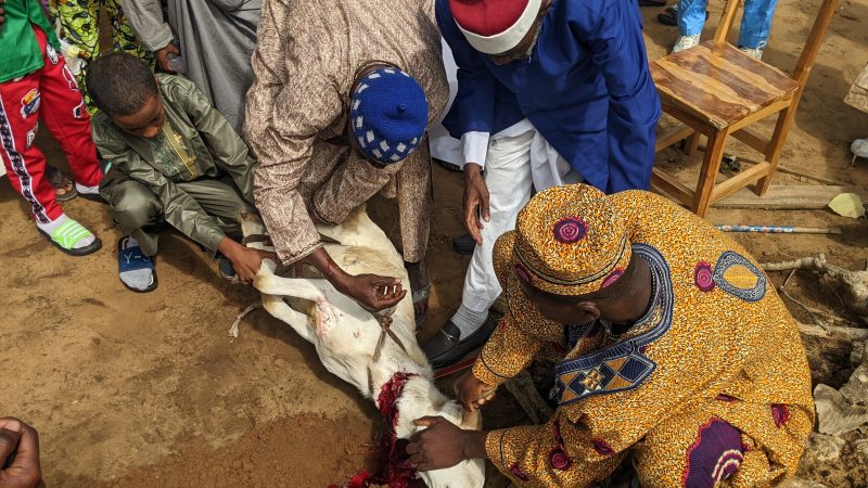 Tabaski 2026 à Baguida : foi, communion et partage au cœur de la célébration à Golfe 6